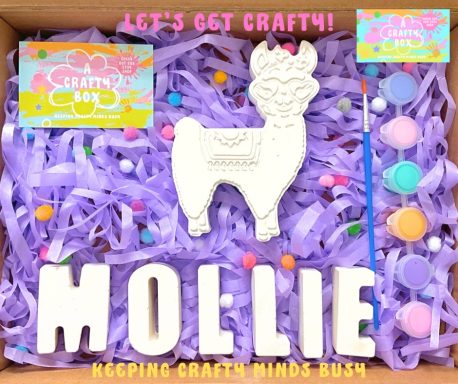 Plaster of Paris large Alpaca on top of bright purple shredded tissue paper. Six pastel paints and a paintbrush. Plaster of Paris letters.
