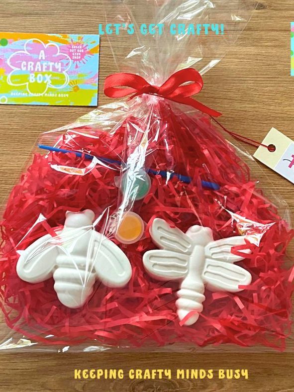 Inside a see through party bag is red tissue paper, a bee, dragonfly and two paints in green and orange. 
